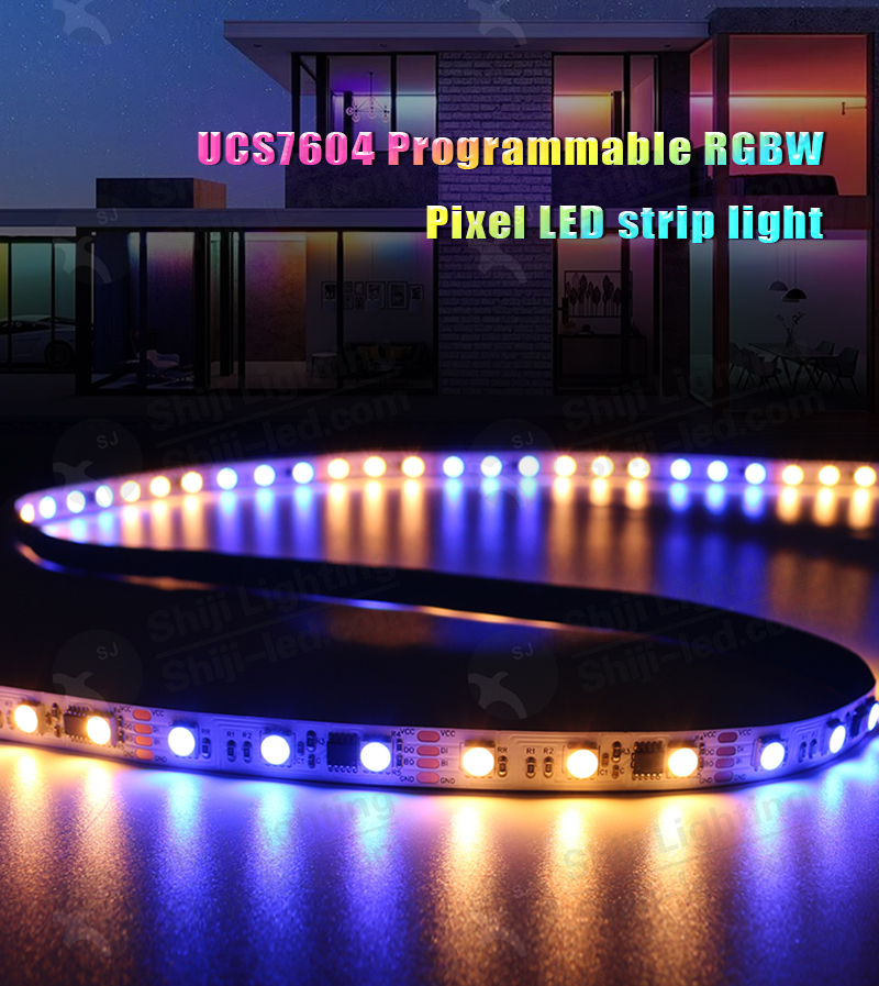 Addressable DC12V 24V LED Strip Programmable RGBW Pixel LED Strip Light ...