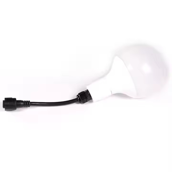 24V Outdoor Permanent Lighting Good Quantity 60mm Diameter DMX Digital Pixel Bulb IP68 White Color for Building Landscape PC