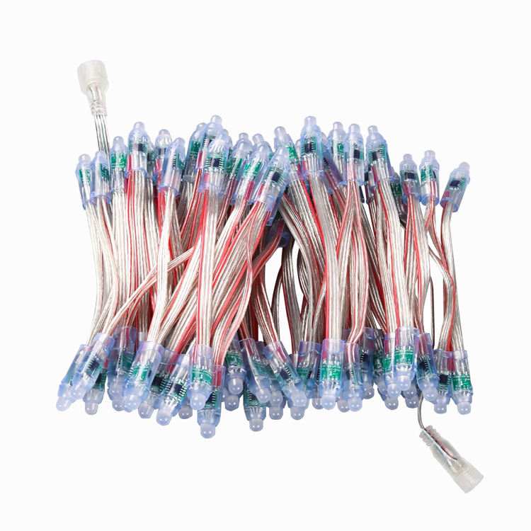 SHIJI 12V Waterproof Full Color GS8208 12mm IP67 Bullet LED PIXEL Light for Christmas Decoration LED Modules Light 4